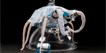 What Can Bionics Teach Us About the Future of Robotics?