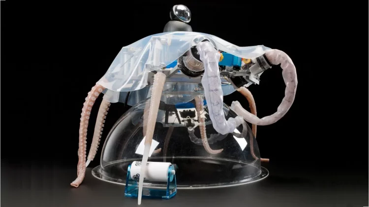 What Can Bionics Teach Us About the Future of Robotics?