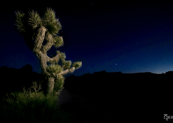 What Happens When the Spotlight Shifts to Someone Else?