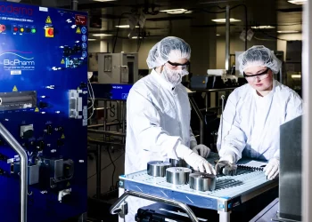 Is the Cure for Cancer Hidden in the Human Immune System?