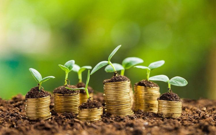 Is Your Industry Ready for Sustainability Regulations?