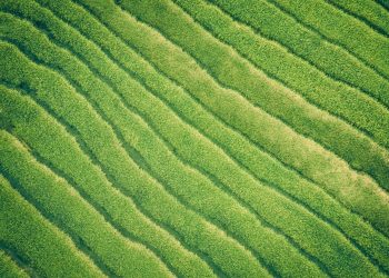 Is the Future of Manufacturing Truly Green?