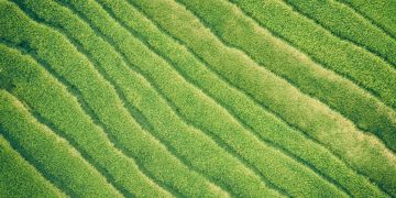 Is the Future of Manufacturing Truly Green?