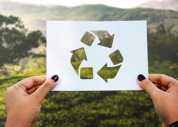 Can the Circular Economy Save Global Industries?