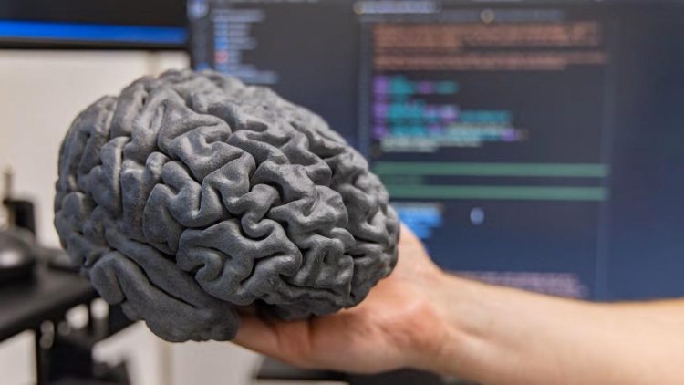 The Long-Term Effects of Bionic Integration