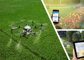 Digitalization: The Key to Reviving Traditional Industries?