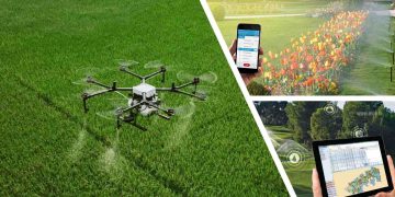 Digitalization: The Key to Reviving Traditional Industries?