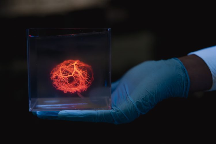 What If We Could 3D Print Organs for Transplantation?